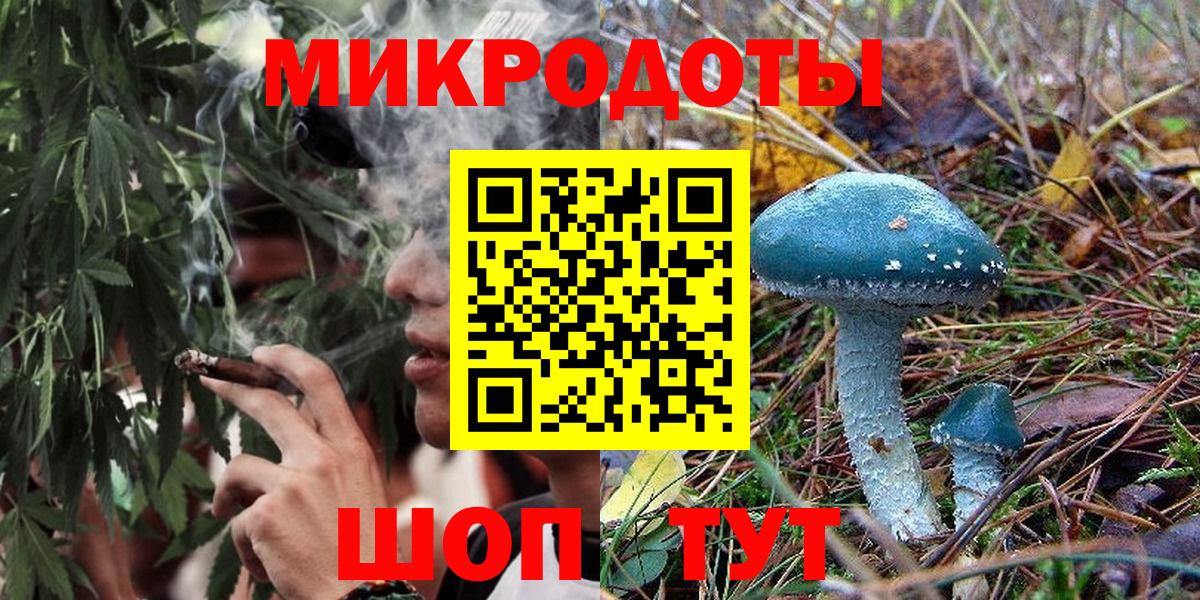 Псилоцибиновые грибы ЛСД  Галлюциногенные грибы GOLDEN TEACHER  Новодвинск  как найти закладки  Вход с VPN 