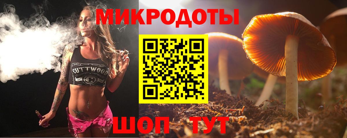 Галлюциногенные грибы Psilocybine cubensis Новодвинск
